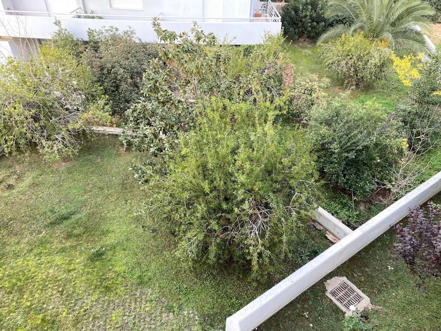 Spacious And Sunkissed 3Br & 2 Bathrooms Apartment Atina Dış mekan fotoğraf